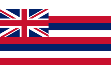 HI_flag